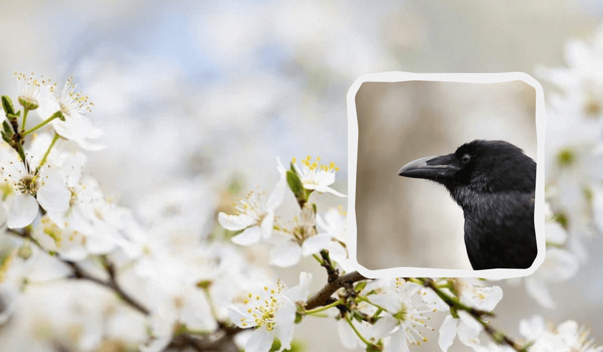 14 квітня 2024 року - що не можна робити, прикмети, важливі свята / колаж УНІАН, фото ua.depositphotos.com