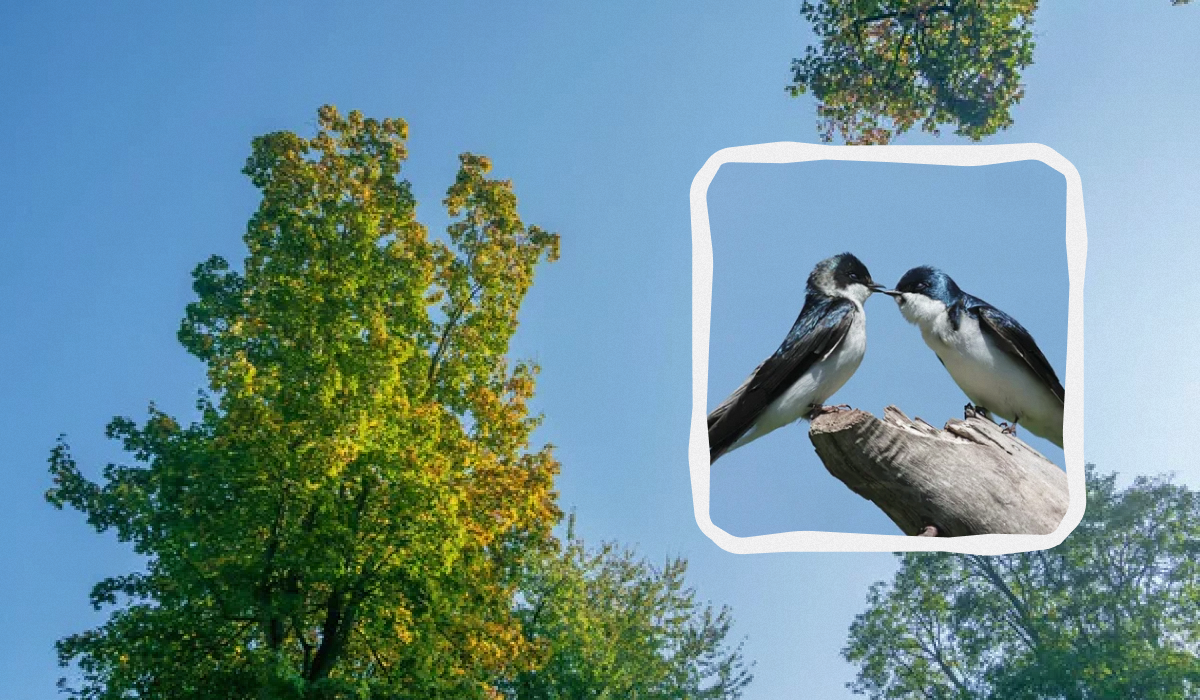 Яке свято 18 квітня - прикмети, заборони / колаж УНІАН, фото ua.depositphotos.com Яке свято 18 квітня - прикмети, заборони / колаж УНІАН, фото ua.depositphotos.com
