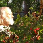 Анатолій Фролов: Голос покоління