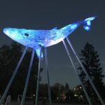 Київський Кит знов засвітиться в Києві, щоб привернути увагу до якості води в Україні