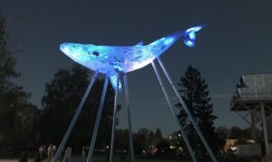 Київський Кит знов засвітиться в Києві, щоб привернути увагу до якості води в Україні